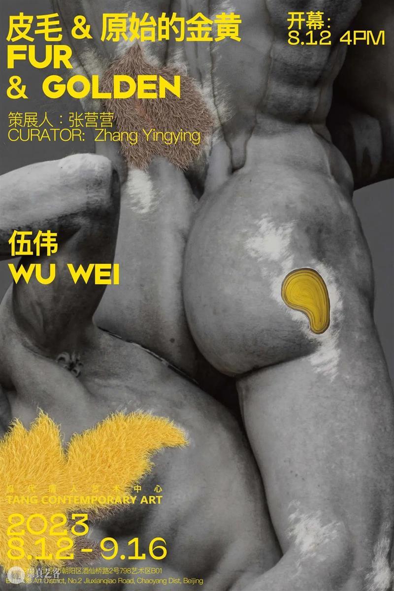 伍伟：原始的皮毛，殇的皮毛 崇真艺客