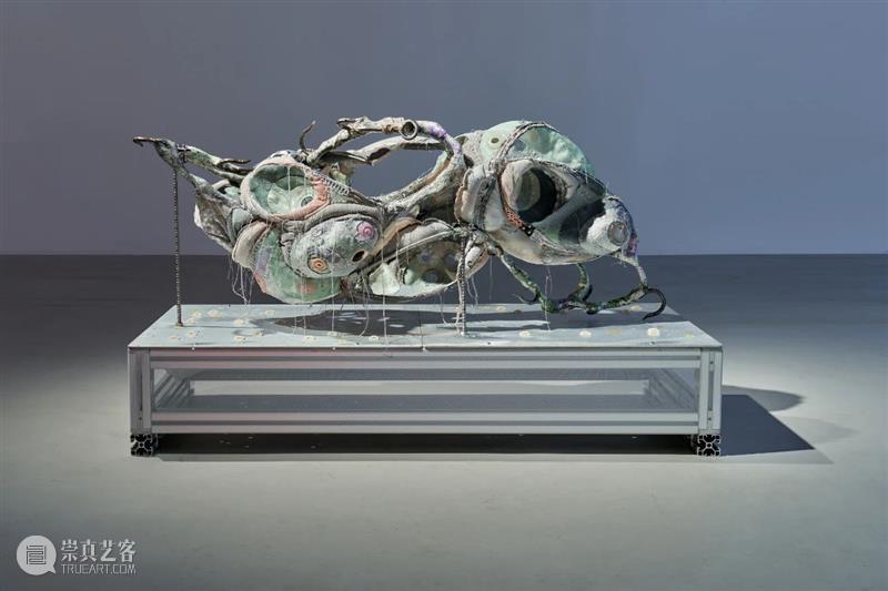 工作室画廊宣布代理艺术家王玉钰 崇真艺客