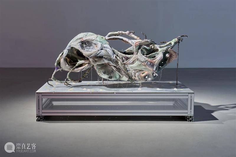 工作室画廊宣布代理艺术家王玉钰 崇真艺客