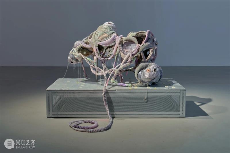 工作室画廊宣布代理艺术家王玉钰 崇真艺客