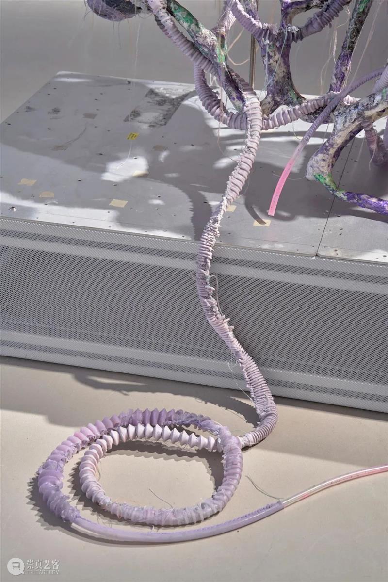 工作室画廊宣布代理艺术家王玉钰 崇真艺客