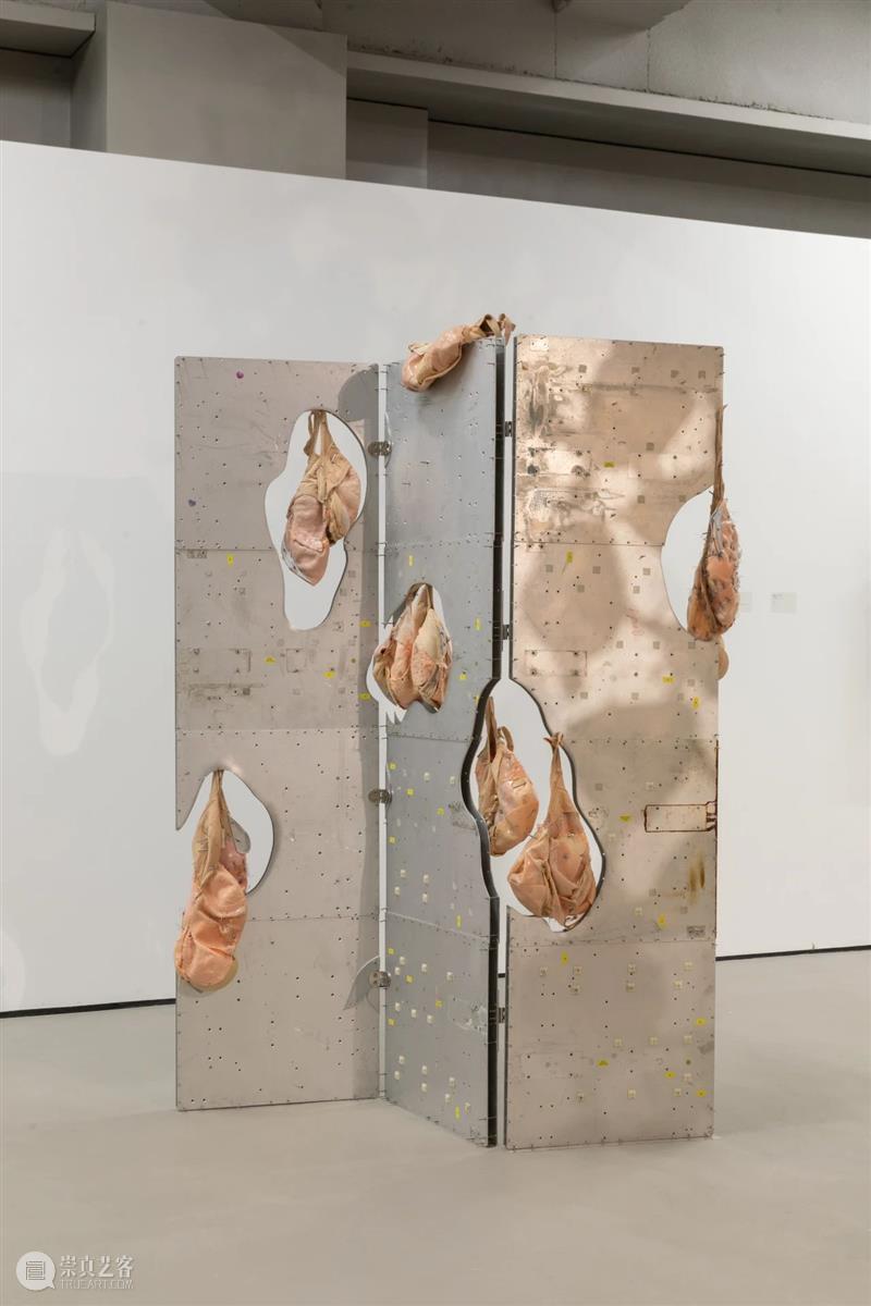 工作室画廊宣布代理艺术家王玉钰 崇真艺客