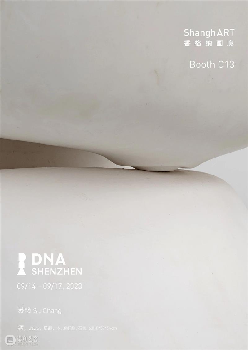 艺博会｜香格纳画廊参展DnA SHENZHEN 2023｜展位C13 崇真艺客