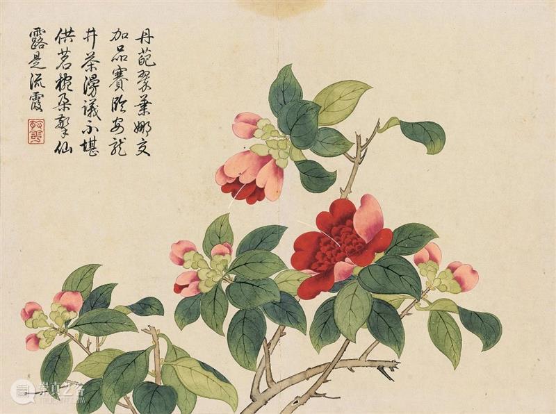 钱维城 花卉册(十二开)丨中国嘉德30周年精品回顾 崇真艺客