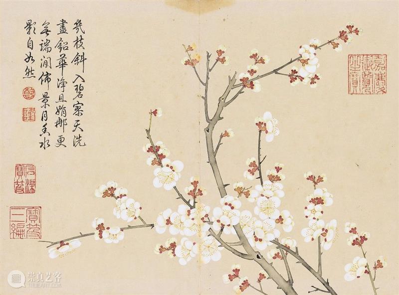 钱维城 花卉册(十二开)丨中国嘉德30周年精品回顾 崇真艺客