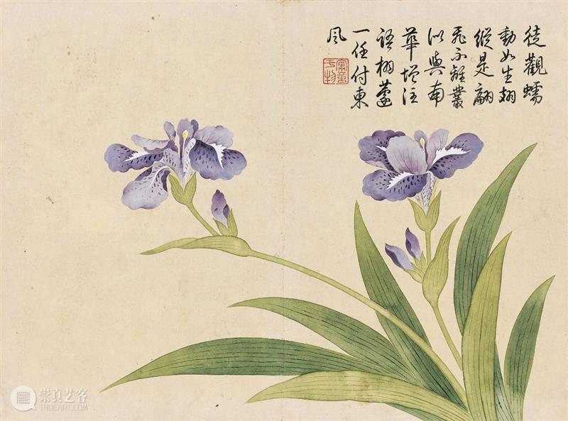 钱维城 花卉册(十二开)丨中国嘉德30周年精品回顾 崇真艺客