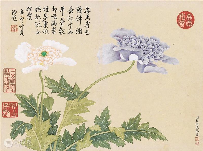 钱维城 花卉册(十二开)丨中国嘉德30周年精品回顾 崇真艺客