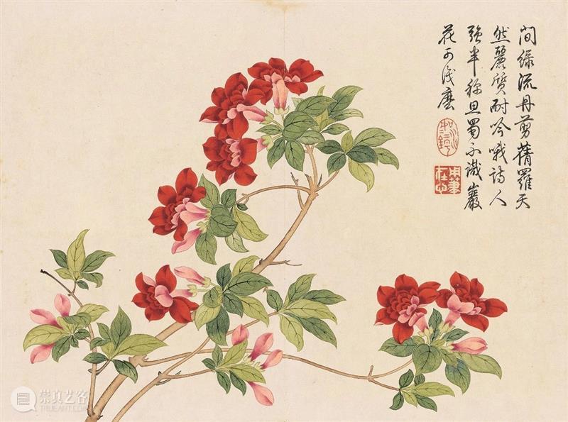 钱维城 花卉册(十二开)丨中国嘉德30周年精品回顾 崇真艺客