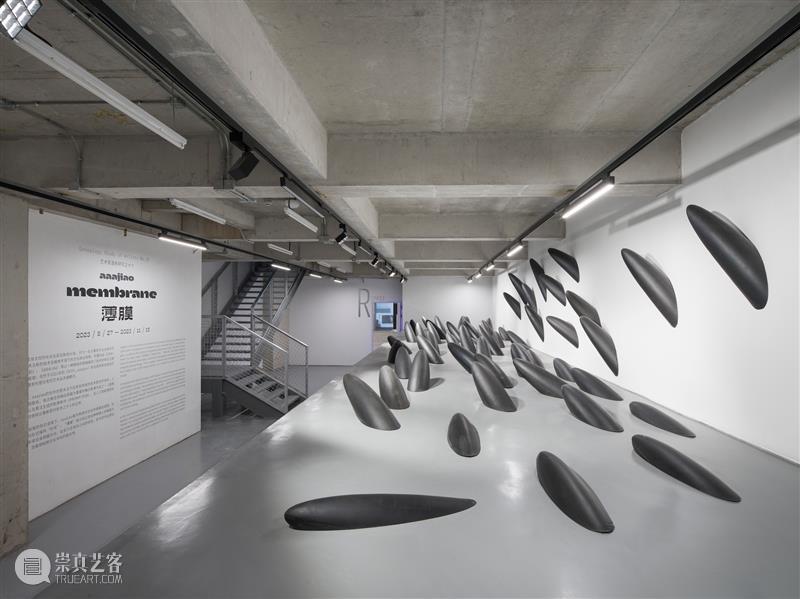 aaajiao星美术馆个展“艺术家谱系研究之十六 aaajiao:薄膜” 崇真艺客