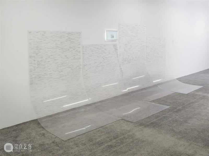 aaajiao星美术馆个展“艺术家谱系研究之十六 aaajiao：薄膜” 崇真艺客
