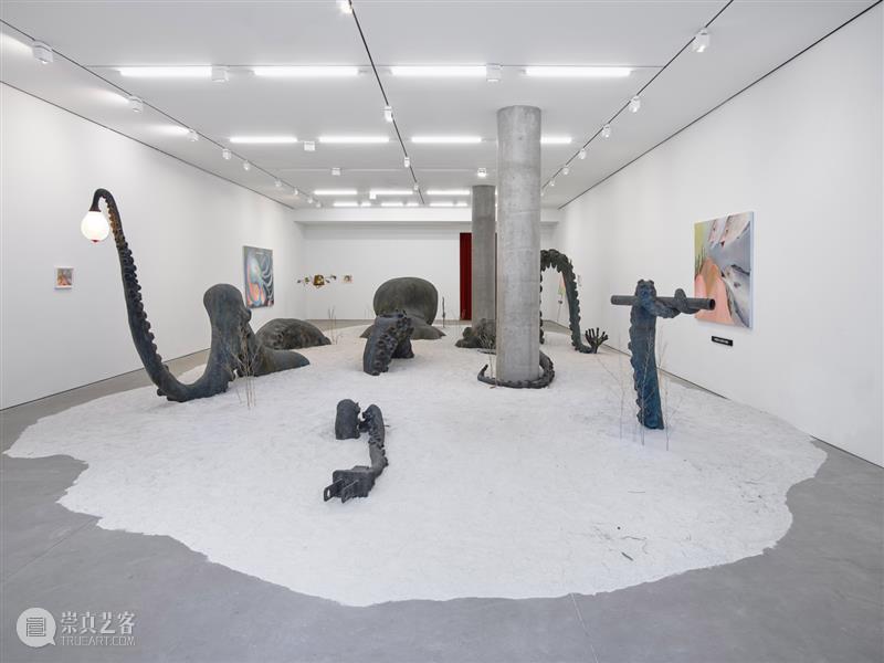 正在展出 | 里森纽约 | 劳瑞·普罗沃斯特 (Laure Prouvost) 个展 崇真艺客