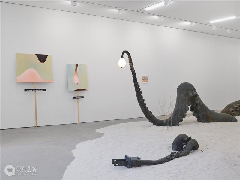 正在展出 | 里森纽约 | 劳瑞·普罗沃斯特 (Laure Prouvost) 个展 崇真艺客