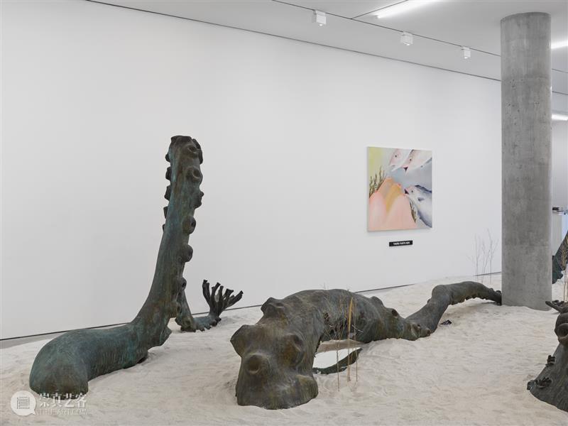 正在展出 | 里森纽约 | 劳瑞·普罗沃斯特 (Laure Prouvost) 个展 崇真艺客
