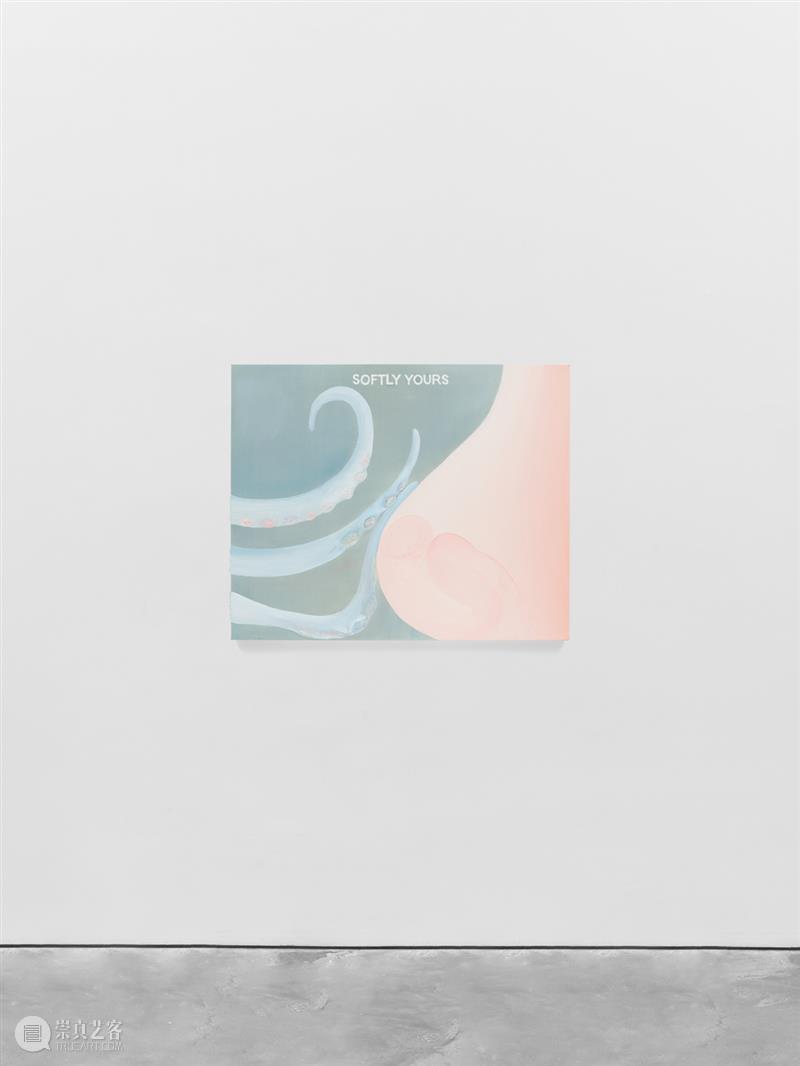 正在展出 | 里森纽约 | 劳瑞·普罗沃斯特 (Laure Prouvost) 个展 崇真艺客