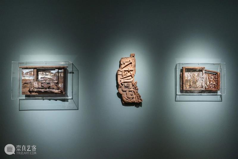 重返自然 | 胡项城：光影与光阴 崇真艺客