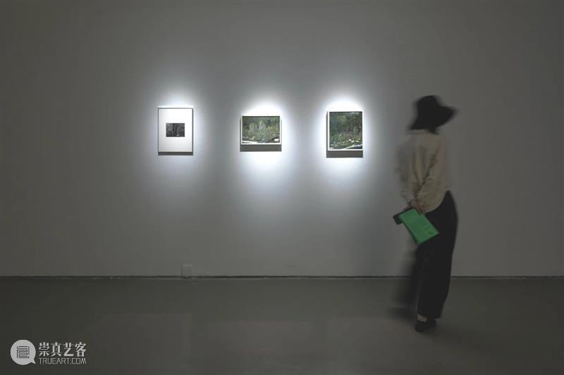 今日未来馆如何以艺术跟AI Say Hi? 崇真艺客