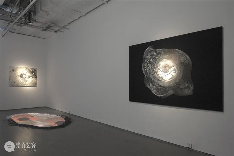 今日未来馆如何以艺术跟AI Say Hi? 崇真艺客