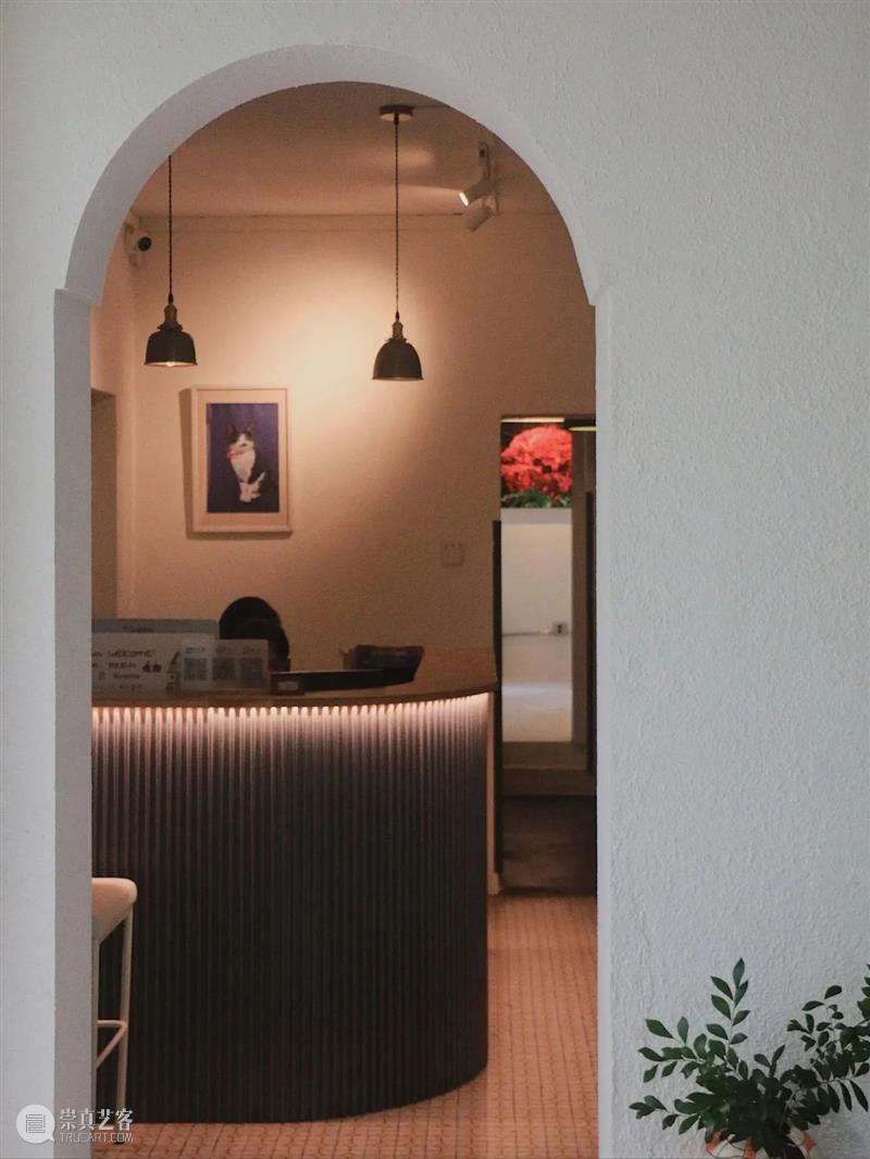 黄英：在梦开始的地方，一直坚持下去｜人文特写FEATURE Vol.2 崇真艺客