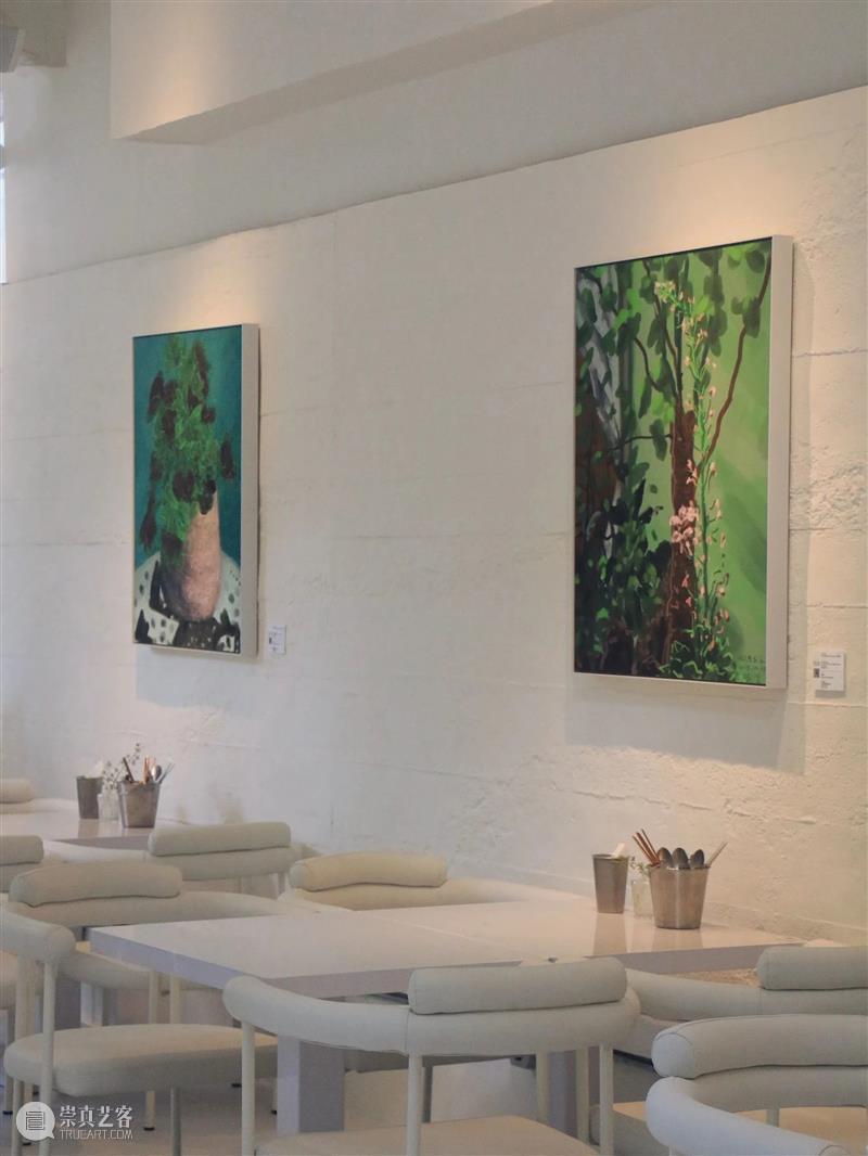 黄英：在梦开始的地方，一直坚持下去｜人文特写FEATURE Vol.2 崇真艺客