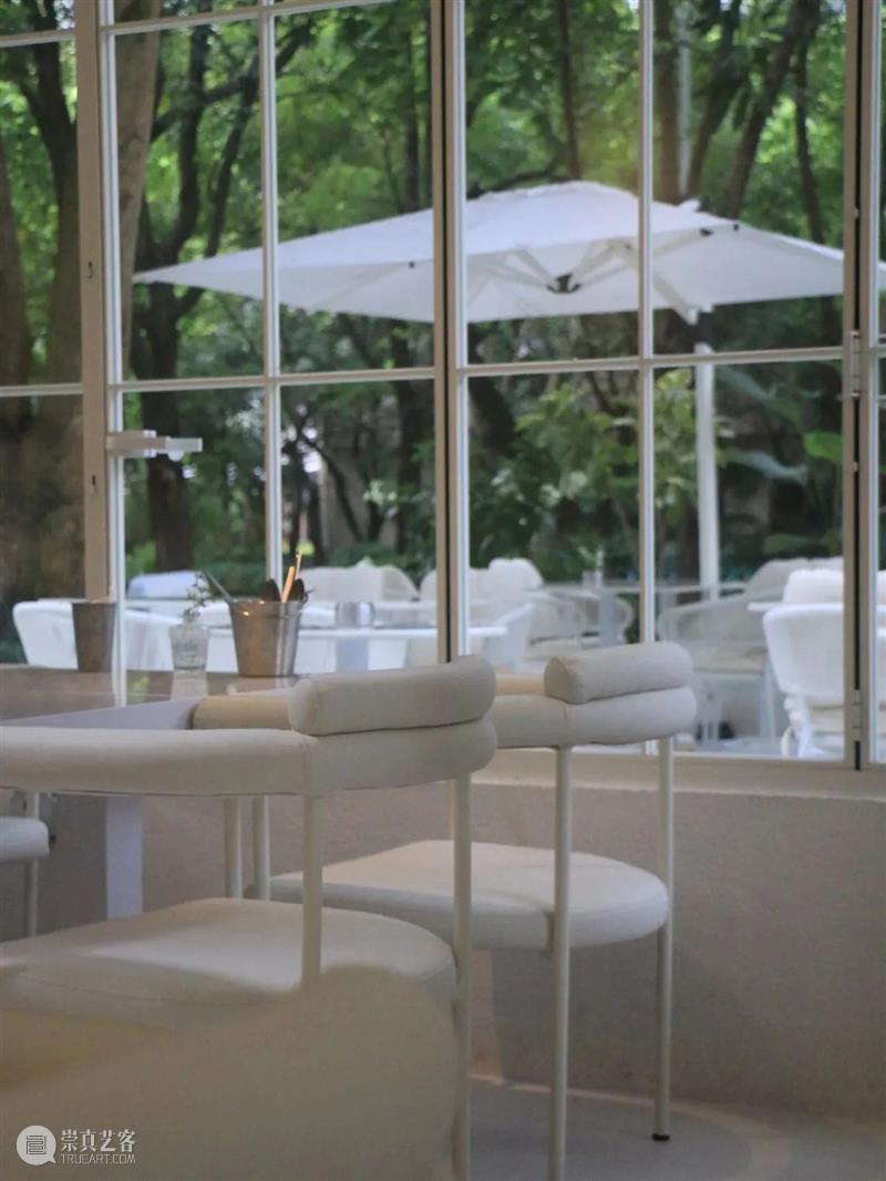 黄英：在梦开始的地方，一直坚持下去｜人文特写FEATURE Vol.2 崇真艺客