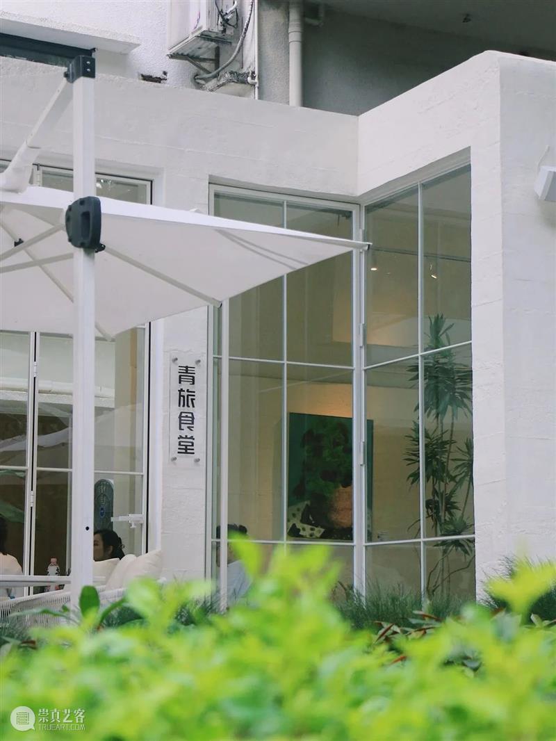 黄英：在梦开始的地方，一直坚持下去｜人文特写FEATURE Vol.2 崇真艺客