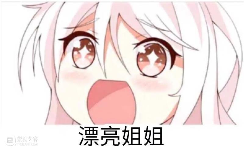 再见了,B站! 崇真艺客