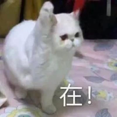 纪录片《二十二》日本定档;张译新片《三大队》定档 崇真艺客
