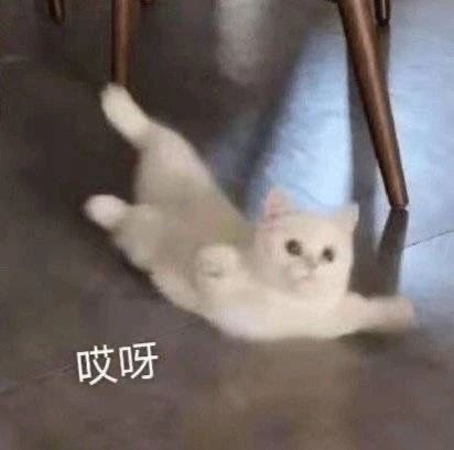 纪录片《二十二》日本定档;张译新片《三大队》定档 崇真艺客