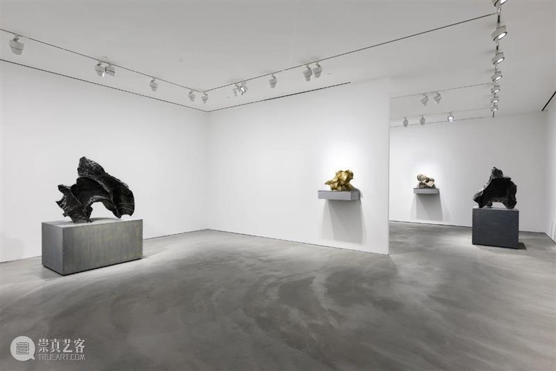 现场｜佩斯香港展览「隋建国：新作」今日开幕 崇真艺客