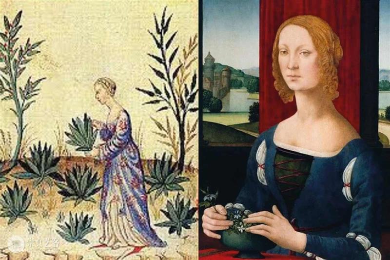 “托法娜仙液”毒杀亲夫事件的背后 崇真艺客