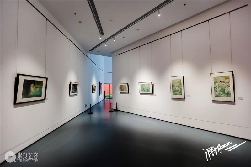 “沧浪之水——陈湘波作品展”在大芬美术馆开幕 崇真艺客