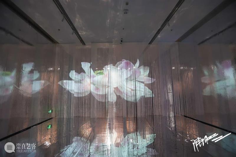 “沧浪之水——陈湘波作品展”在大芬美术馆开幕 崇真艺客