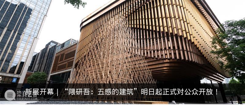 云课堂｜策展课第二季！8天16课时，成为初阶策展人 崇真艺客