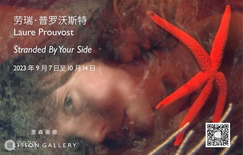 正在展出 | 喻红个展「夜行」| 美国萨凡纳艺术与设计学院美术馆 崇真艺客