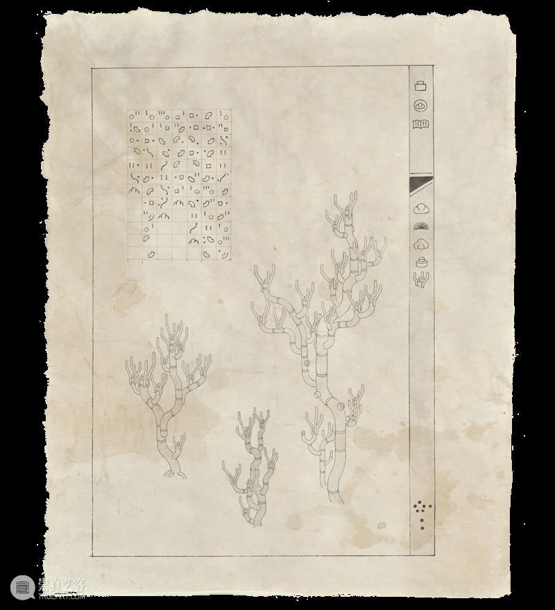 “南山138” 预告 | 张小黎：照见唐怀瑟之门 崇真艺客