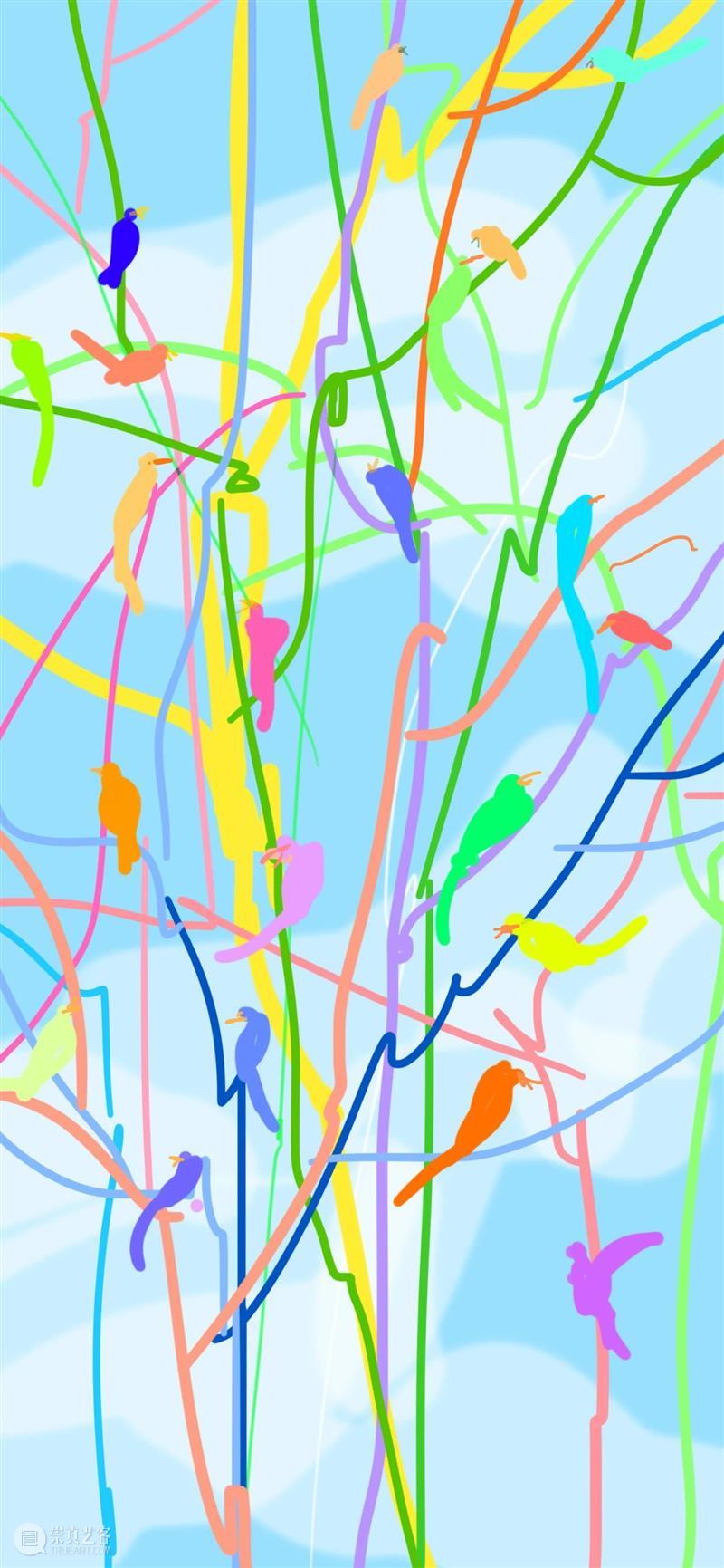 重返自然 | 刘毅：鸟鸣电台 崇真艺客