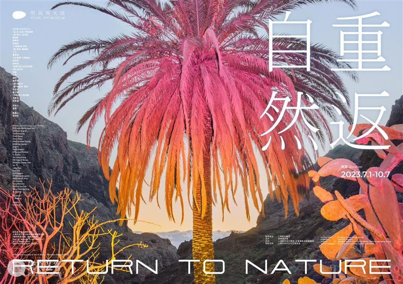 重返自然 | 刘毅：鸟鸣电台 崇真艺客