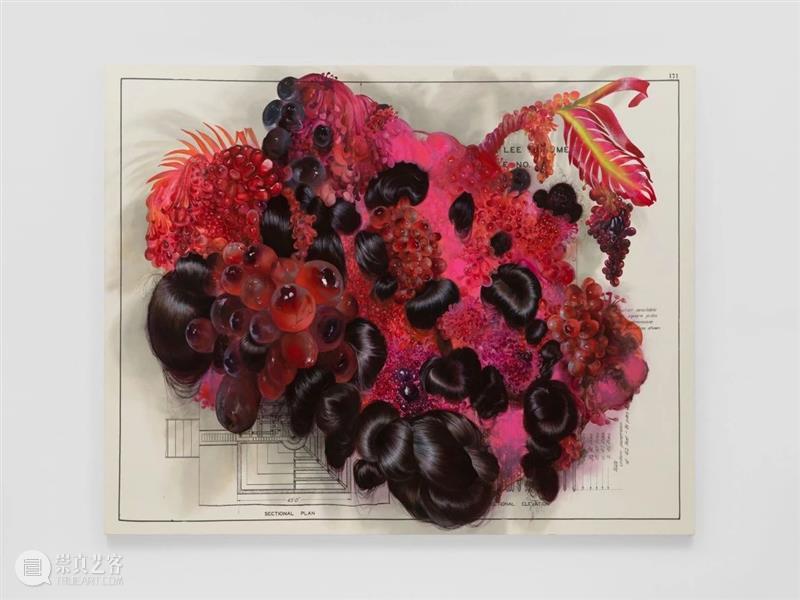 H&W新闻 | 豪瑟沃斯宣布全球代理弗雷莱·巴埃兹（Firelei Báez） 崇真艺客