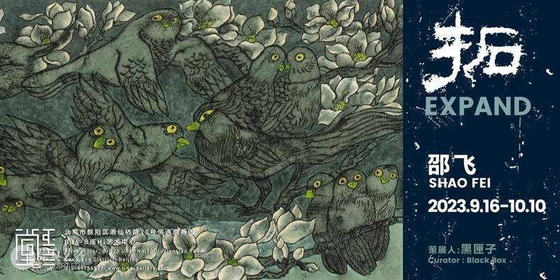 图集｜高瑀：逃避的艺术 崇真艺客