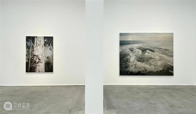 M50恭祝中秋国庆双节快乐 | 假期展讯合集 崇真艺客