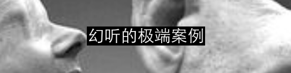 妄想与精神分裂的新理解 崇真艺客