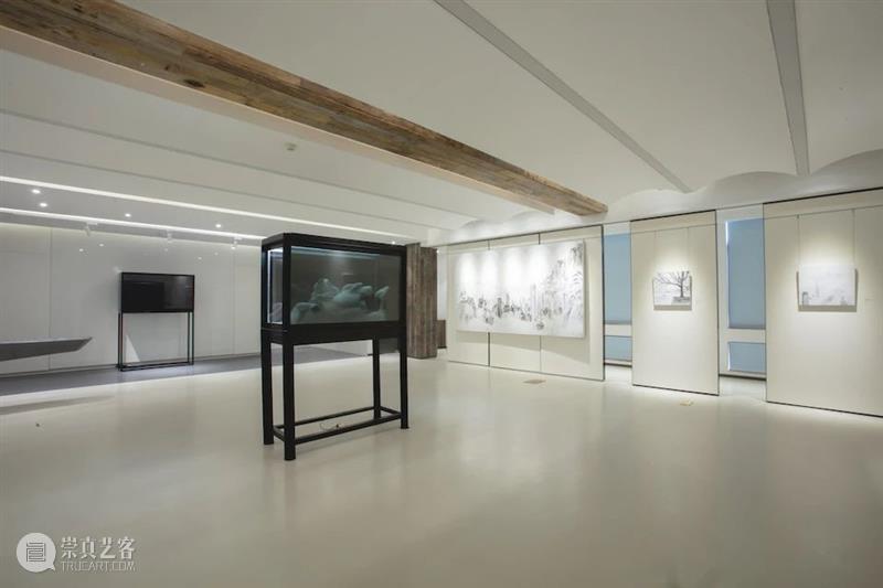 【SPURS 艺术家】近期动态:法利·阿吉拉尔、侯子超、邱岸雄、安塞姆·雷尔、邢丹文、叶凌瀚、袁可如、周岩 崇真艺客