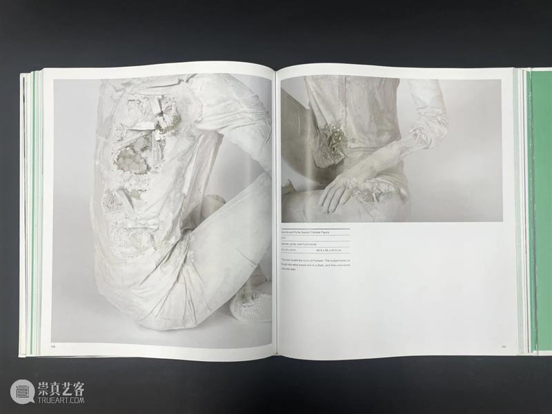 HOW 翻画册｜Vol.6  丹尼尔·阿尔轩 崇真艺客