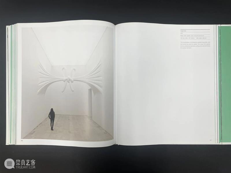 HOW 翻画册｜Vol.6  丹尼尔·阿尔轩 崇真艺客