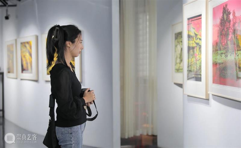 山里 · 山外 | 马力版画作品展开幕回顾 崇真艺客