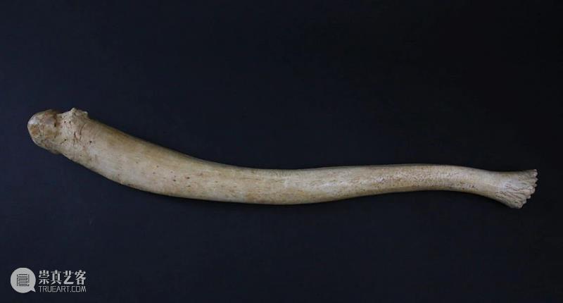 浪与忠诚：海马神秘的爱情故事 崇真艺客