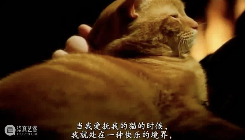 难得一见的顶级“神”片,彻底颠覆认知 崇真艺客