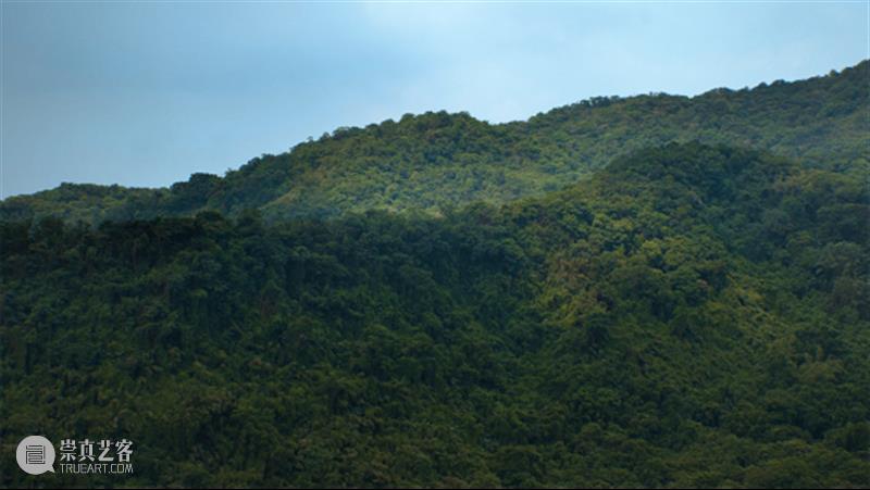 彭康隆 元气淋漓的生命状态｜雅昌艺术 崇真艺客