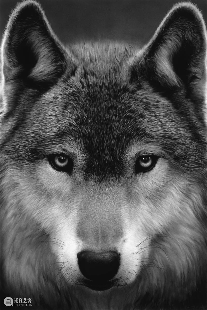 Thaddaeus Ropac 画廊参展2023年艺+巴黎 展位 | B16 崇真艺客