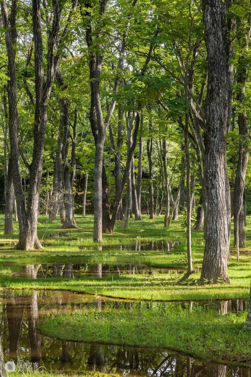 石上纯也：“建筑最好能经得起几个世纪的考验”｜ArchDaily 专访 崇真艺客